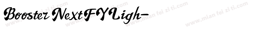 Booster Next FY Ligh字体转换